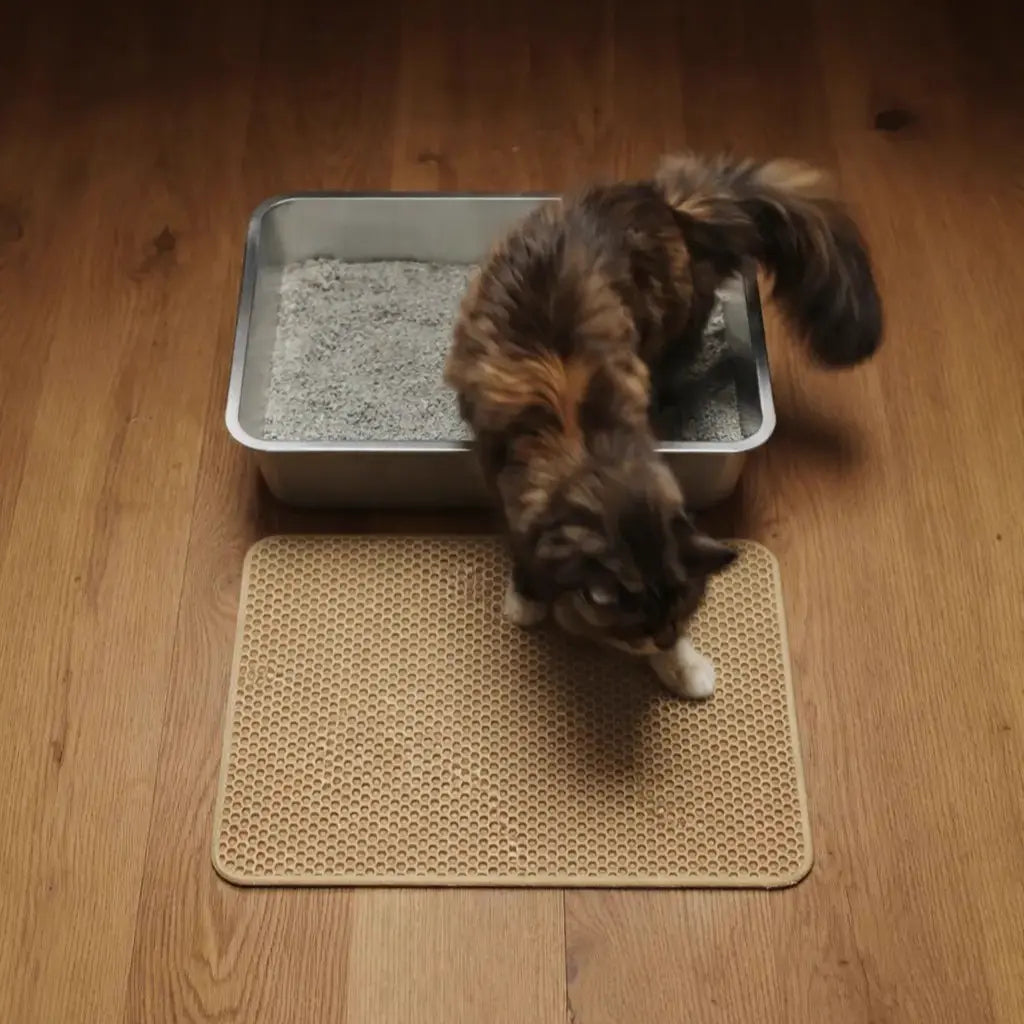 Mancs Zóna prémium alomkilépő